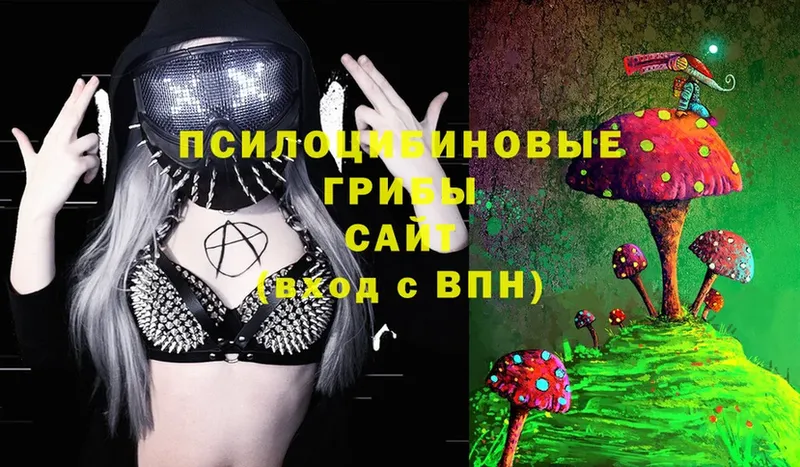 купить  сайты  Белогорск  Псилоцибиновые грибы Magic Shrooms 